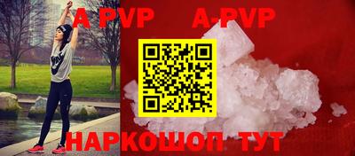 дживик Моздок