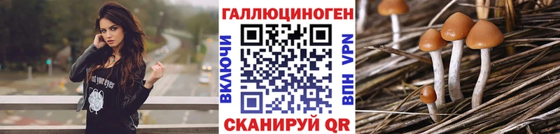 mega ТОР  купить   Старая Купавна  Галлюциногенные грибы мицелий 